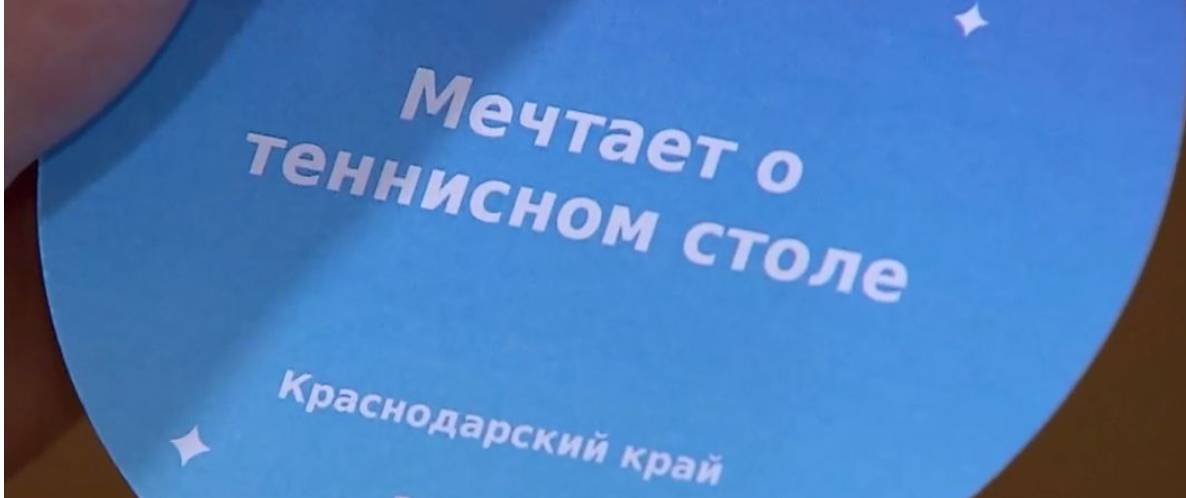 Михаил Мишустин исполнит новогоднее желание мальчика из Краснодарского края